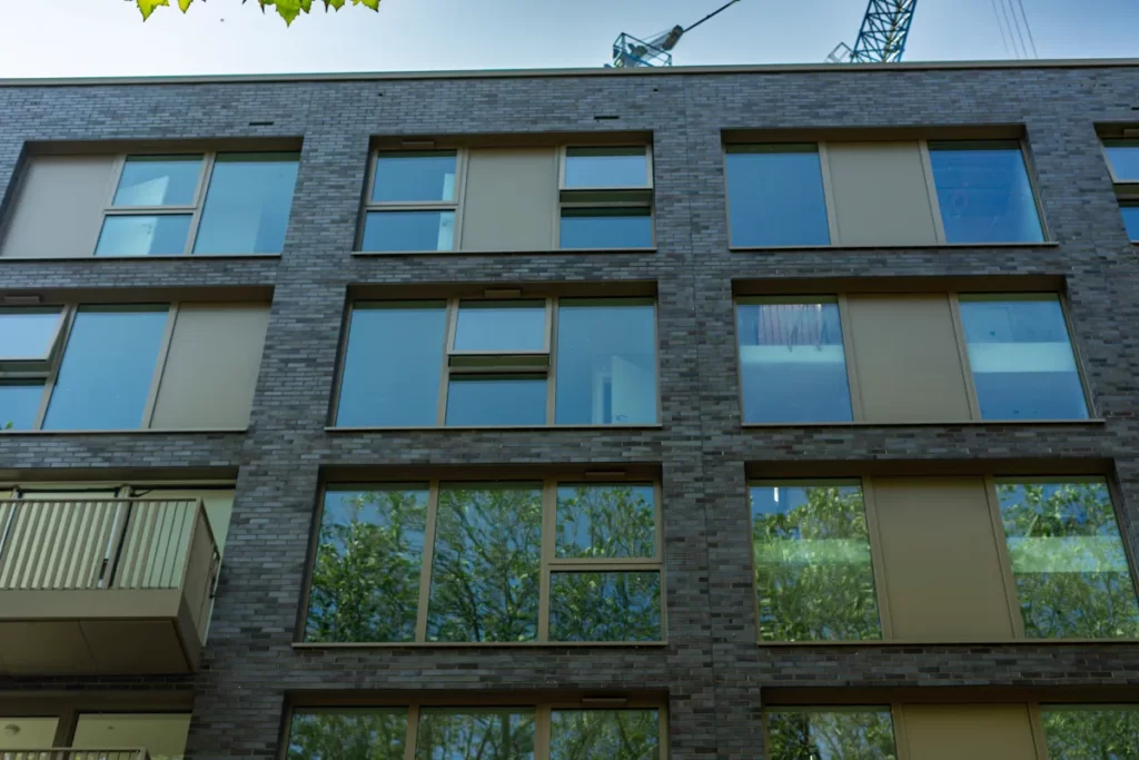 iFixWindows DSC05507-1024x683 Neptune  